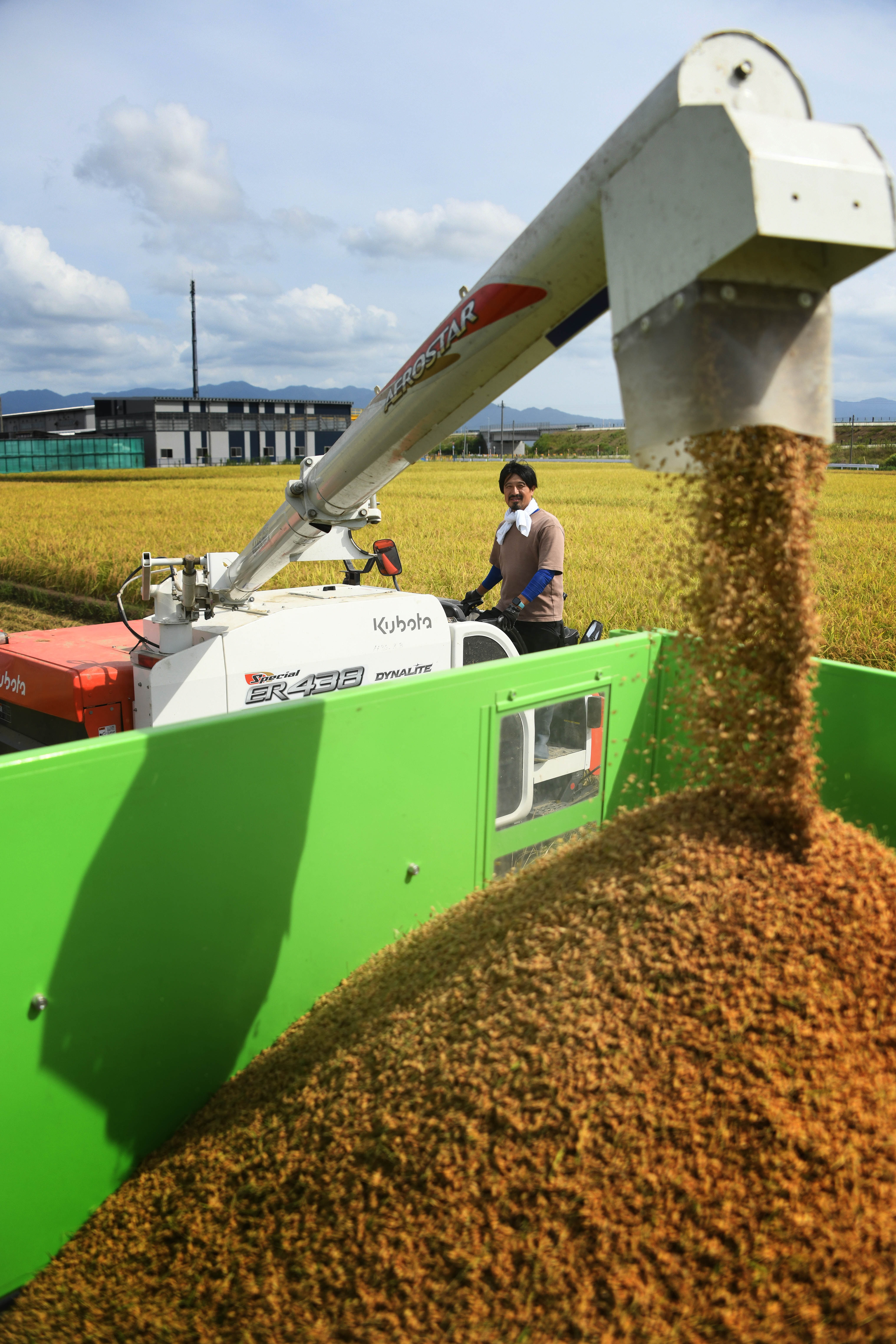 繝溘Ν繧ュ繝シ繧ッ繧、繝シ繝ウ繝代ャ繧ッ 縺秘」ッ 150g テ 20繝代ャ繧ッ 邀ウ 逋ス邀ウ 逕倥∩ 菫晏ュ倬」 邁。蜊 謇玖サス 譁ー貎溽恁 髦ソ雉驥主ク 3D10018