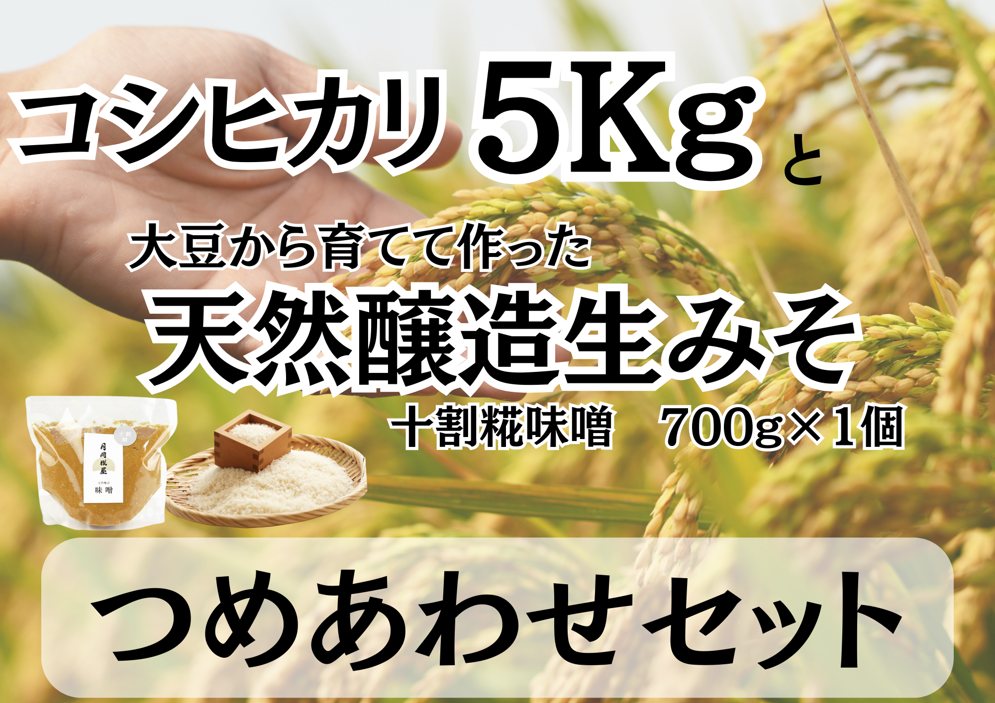 【新米】【6ヶ月定期便】 月岡糀屋「 コシヒカリ5kg」＆完全自家製味噌「十割糀味噌700g」詰め合わせセット 6回 3B11066