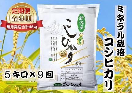 【令和6年産新米予約】【9ヶ月定期便】ミネラル栽培こしひかり 5kg×9回 計45kg 白米 精米 井上米穀店 10月上旬より順次発送予定 1I14072