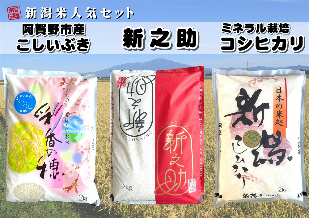 【令和6年産新米予約】新潟人気米セット 6kg(2kg×3種) ミネラル栽培コシヒカリ 新之助 こしいぶき 精米 白米 井上米穀店 11月上旬より順次発送予定 1I09013