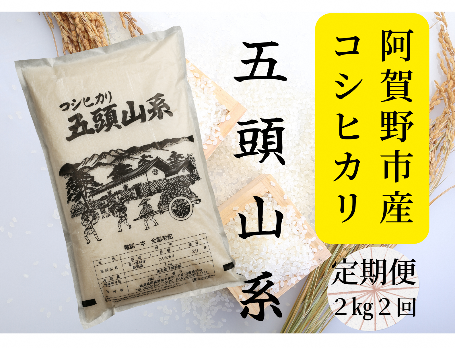 【2回定期便】「米屋のこだわり阿賀野市産」コシヒカリ2kg×2回 1E04010