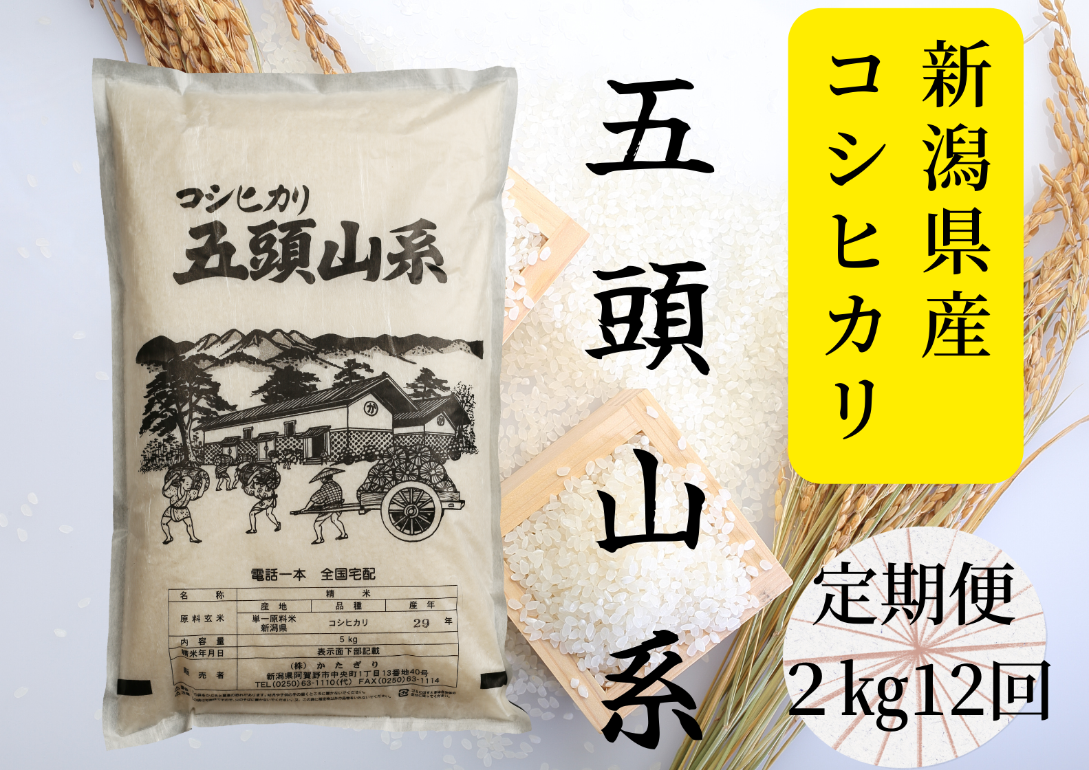 【新米】【12回定期便】「米屋のこだわり阿賀野市産」コシヒカリ2kg×12回 1E21052