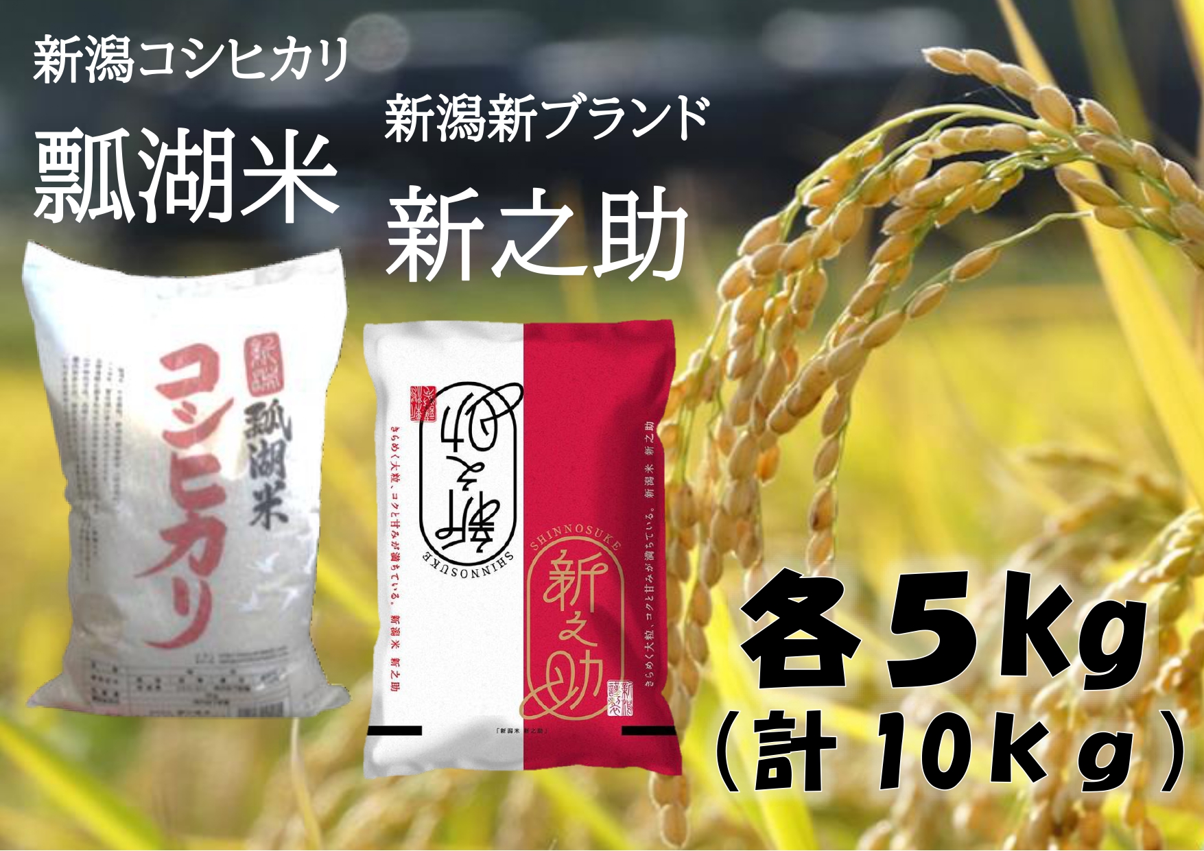 新潟産コシヒカリ「瓢湖米」＆「新之助」セット10kg(各5kg) 1N08015
