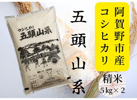 「米屋のこだわり阿賀野市産」コシヒカリ 10kg 1E02018