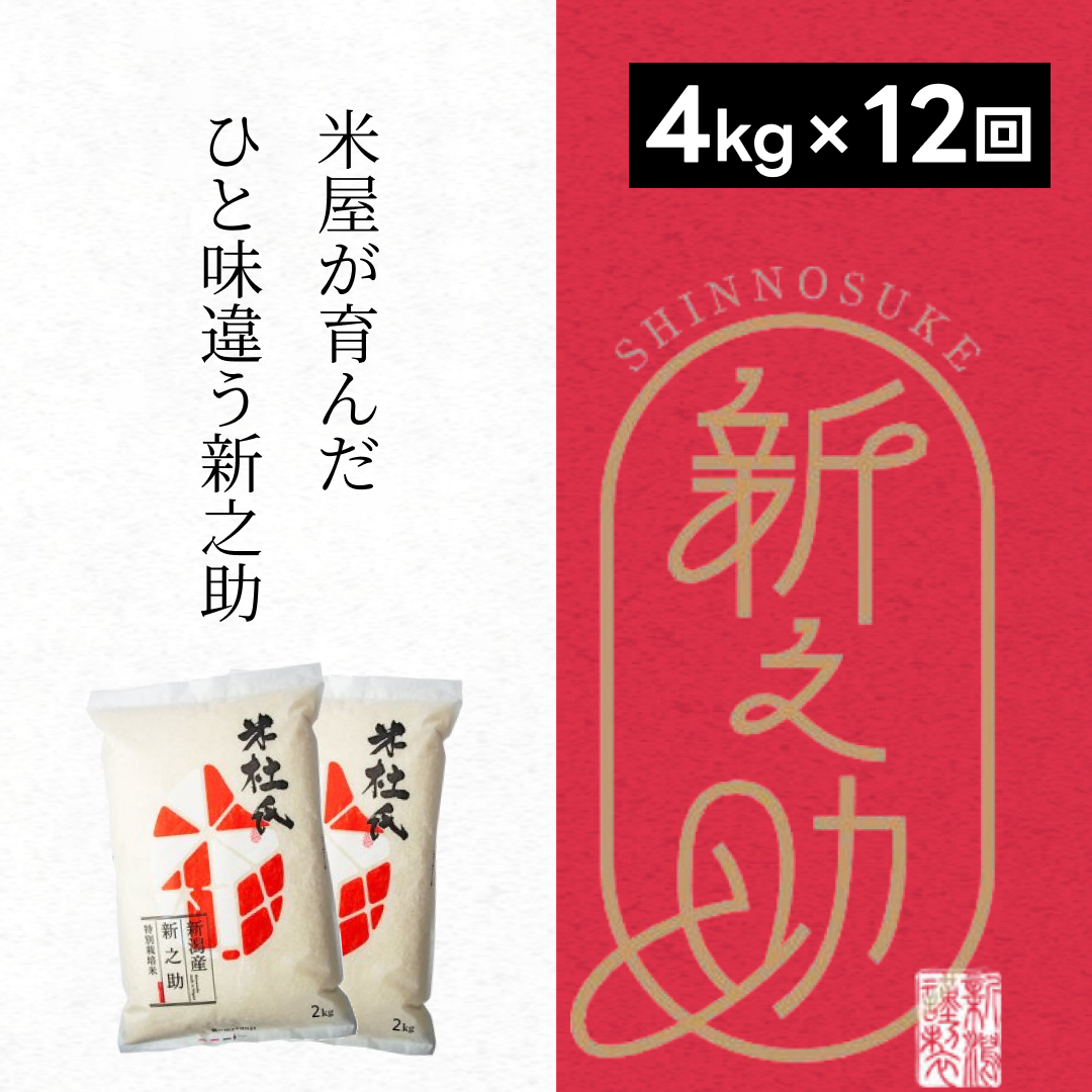 【新米】【12ヶ月定期便】 特別栽培米 新之助 4kg (2kg×2袋)×12回 米杜氏 壱成 白米 精米 大粒 つや 光沢 弾力 芳醇 1H45120