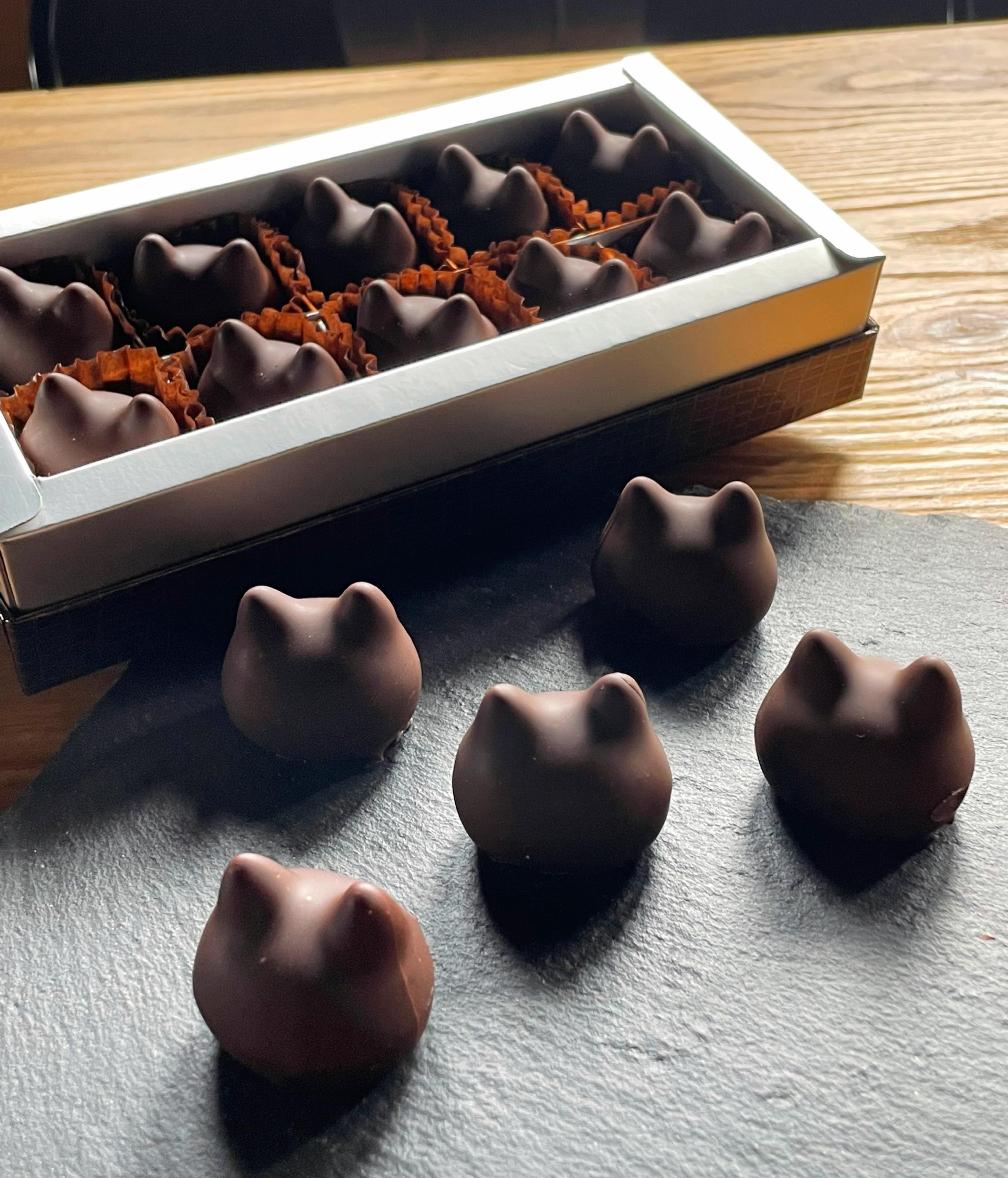 しょこら亭 猫チョコ（jomon）10個入×2セット お菓子 菓子 スイーツ チョコレート 贈答 1Z35036