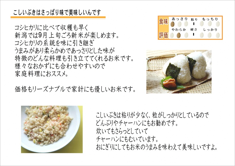 お米マイスターいち押し！！【令和7年産】新潟産こしいぶき 5kg コシヒカリの美味しさを受け継ぐ 白米 精米 コシヒカリ系 早生品種 米 ごはん ライス ブランド米 お米マイスター 井上米穀店 1I28013