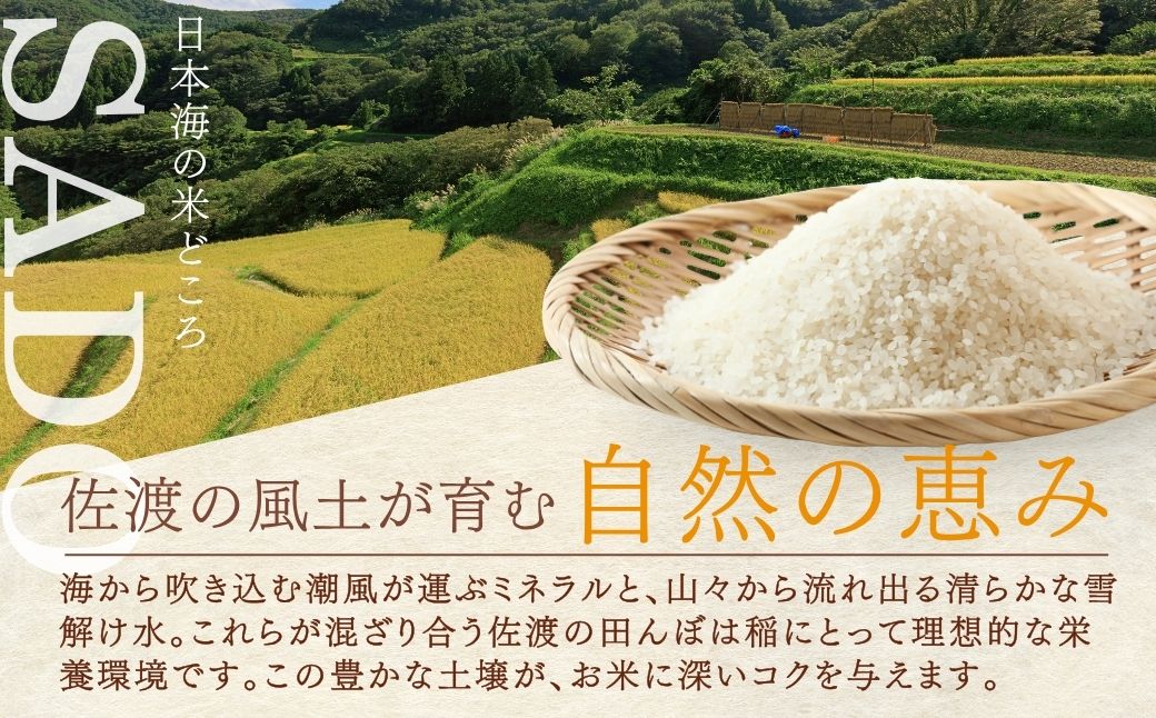佐渡産ブレンド米 佐渡のめぐみ （10kg）