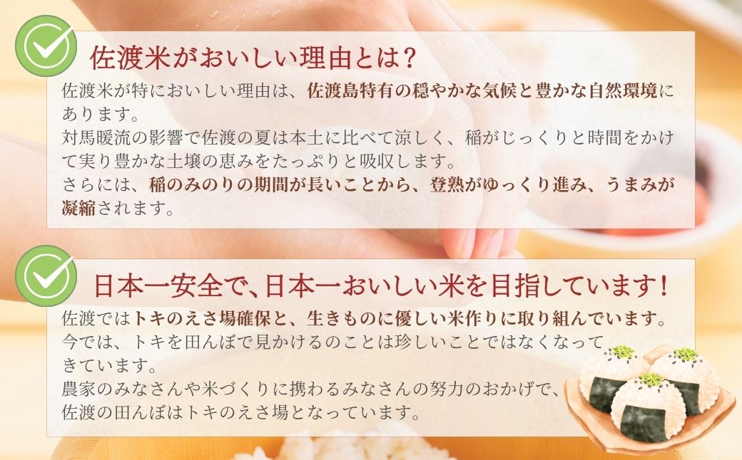 縲仙郁。御コ育エ繝サ髯仙ョ壹台サ、蜥8蟷エ逕」縲迚ケ蛻・譬ス蝓ケ邀ウ縲菴先ク。逕」繧ウ繧キ繝偵き繝ェ縲霎イ螳カ逶エ騾√譛ア鮃コ繧よ」イ繧縲蛹苓ヲ玖セイ蝨定ェ諷「縺ョ騾ク蜩√螳壽悄萓ソシ育イセ邀ウ5kgテ6蝗槭さ繝シ繧ケ)