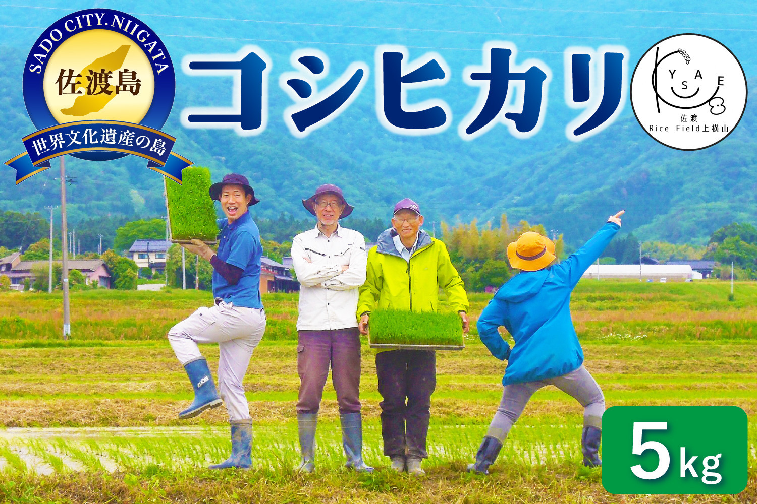 佐渡Rice Field上横山の光【コシヒカリ】令和7年度産　5kg