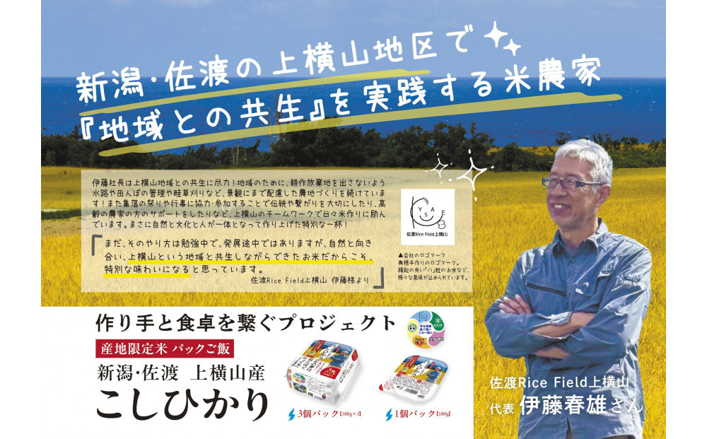 【6ヶ月定期便】新潟県佐渡産コシヒカリ　パックご飯180g×36個【産地・生産者限定米】
