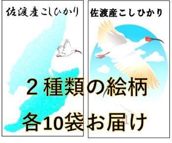 【令和6年産】佐渡高千産こしひかり　150g(1合)×20袋セット