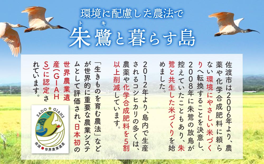  無洗米30kg 新潟県佐渡産コシヒカリ30kg(5kg×6)×3回「3カ月定期便」