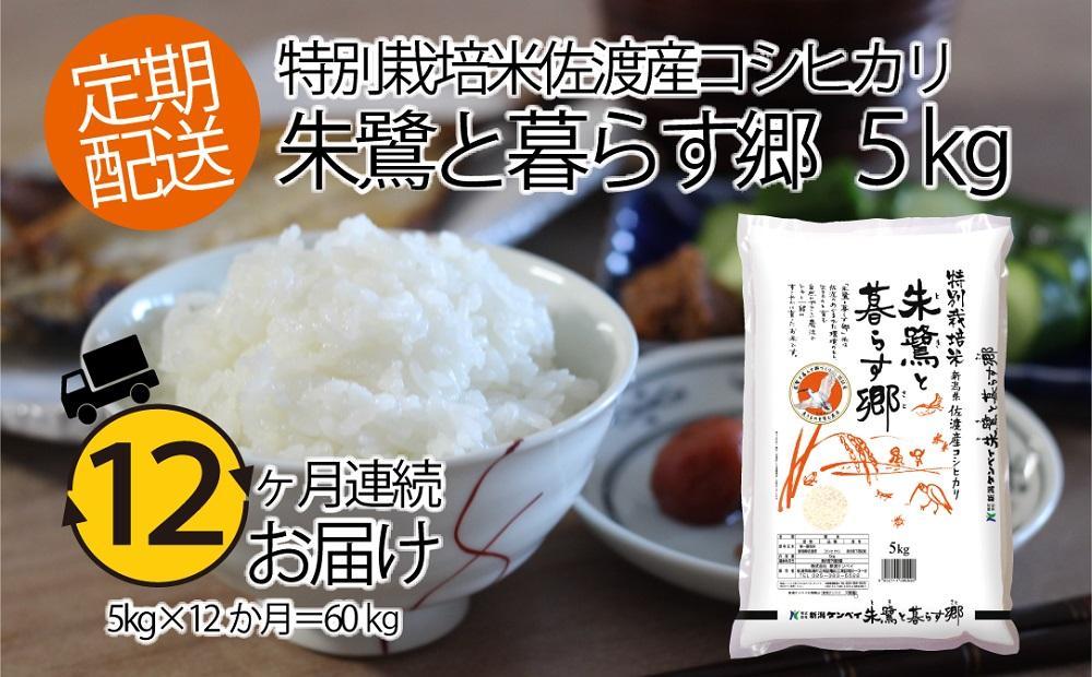 佐渡で人気の「金鶴」味比べ720ml×3本セット／あたりめ付き（18g×1袋