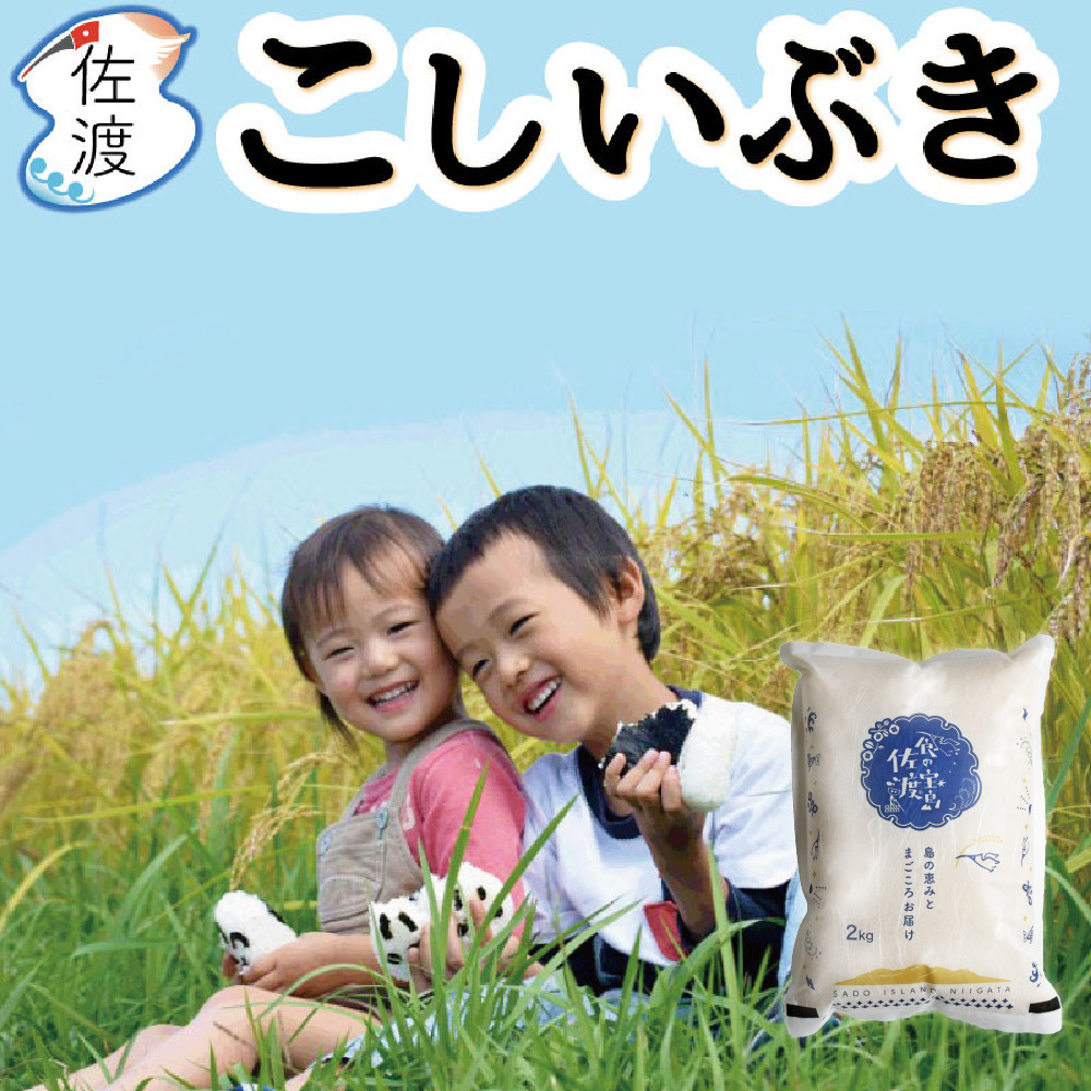 佐渡島産こしいぶき 白米4Kg（2Kg×2袋） 令和7年産【食の宝島佐渡】