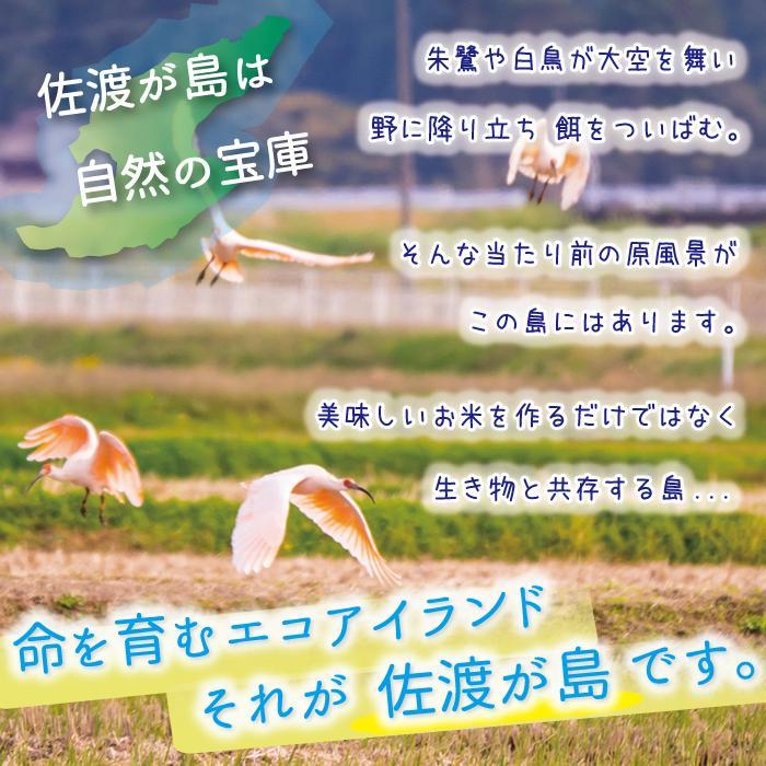 【新米・先行予約】佐渡島産 にじのきらめき 白米5Kg×1袋 特別栽培米 令和6年産