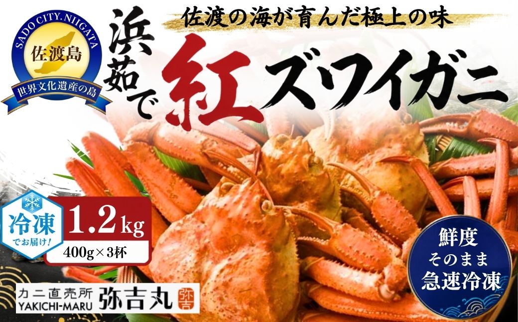 【ふるさと納税】『冷凍』佐渡島直送！浜茹で紅ズワイガニ（1杯400g/3杯）