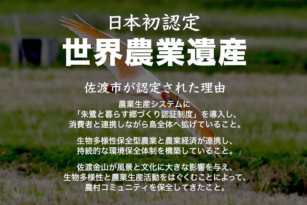 パックご飯 米 コシヒカリ 佐渡産 ( 36個 × 各150g ) 米屋のごはん 新潟県産