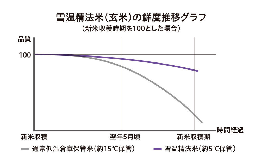 【令和7年産　頒布会】雪温精法　佐渡産こしひかり2kg×3回