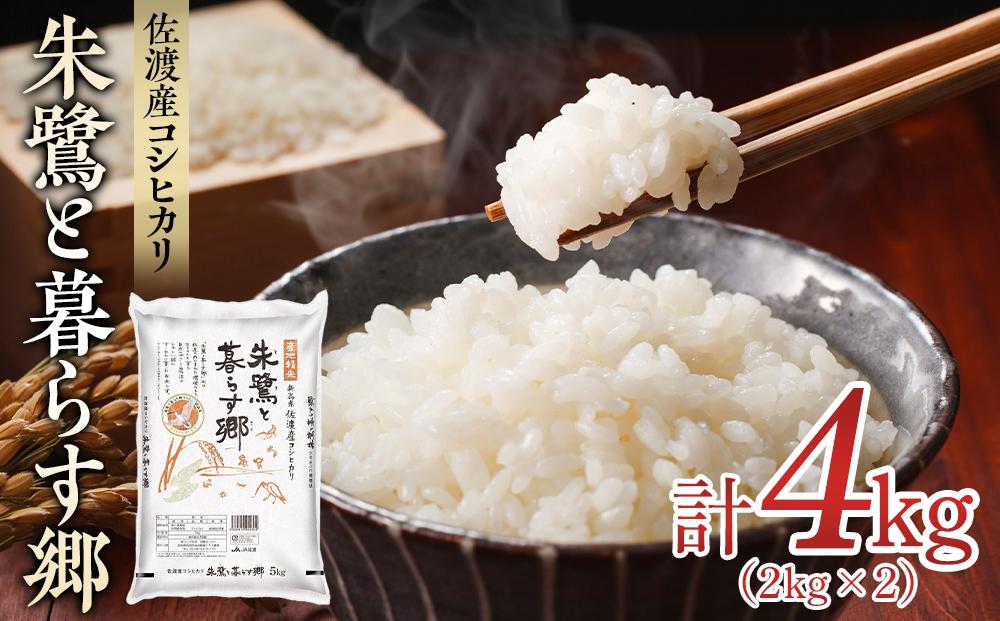 米 朱鷺と暮らす郷 佐渡産 コシヒカリ ( 2kg×2 ) 【令和6年産】