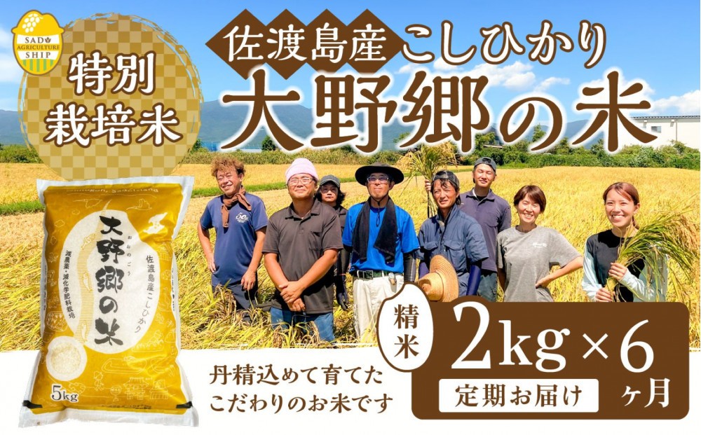 【令和７年産】佐渡島産 特別栽培米こしひかり「大野郷の米」精米5kg×6回 定期お届けコース