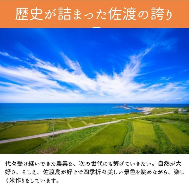 【新潟県佐渡】純粋コシヒカリ＜数量限定＞ 令和７年産 精米【無洗米】5kg 送料無料