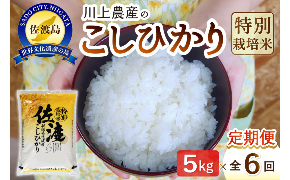 【レビューキャンペーン実施中！】令和7年産 佐渡 川上農産のコシヒカリ 定期便（5kg×全6回）