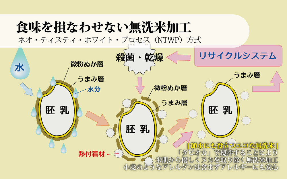 無洗米佐渡産コシヒカリ 5kg 令和7年産