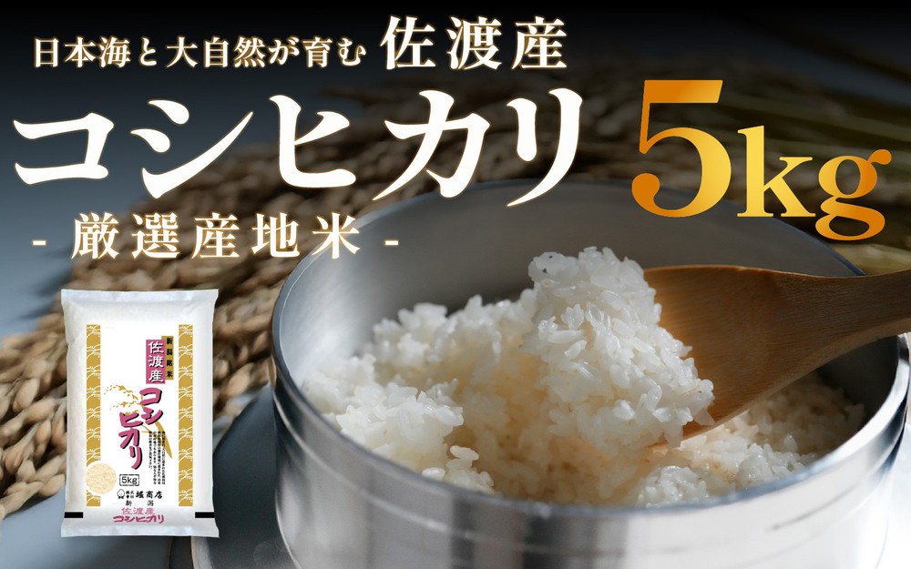äœæž¡ç£ã³ã·ãã«ãª 5kg 什å7幎ç£
