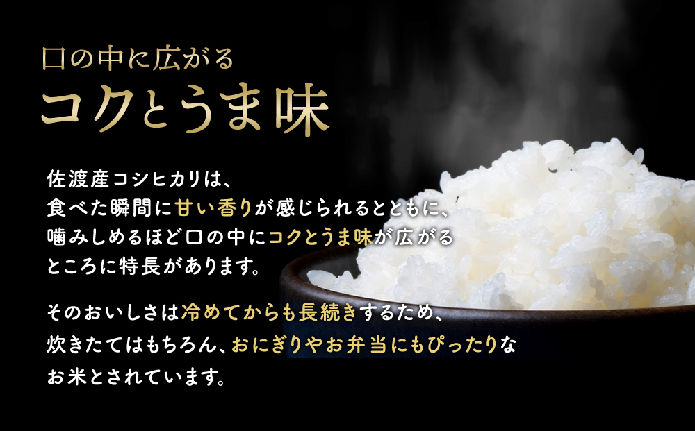 新米・先行予約】佐渡産コシヒカリ 5kg、 コシヒカリ無洗米2合|JAL