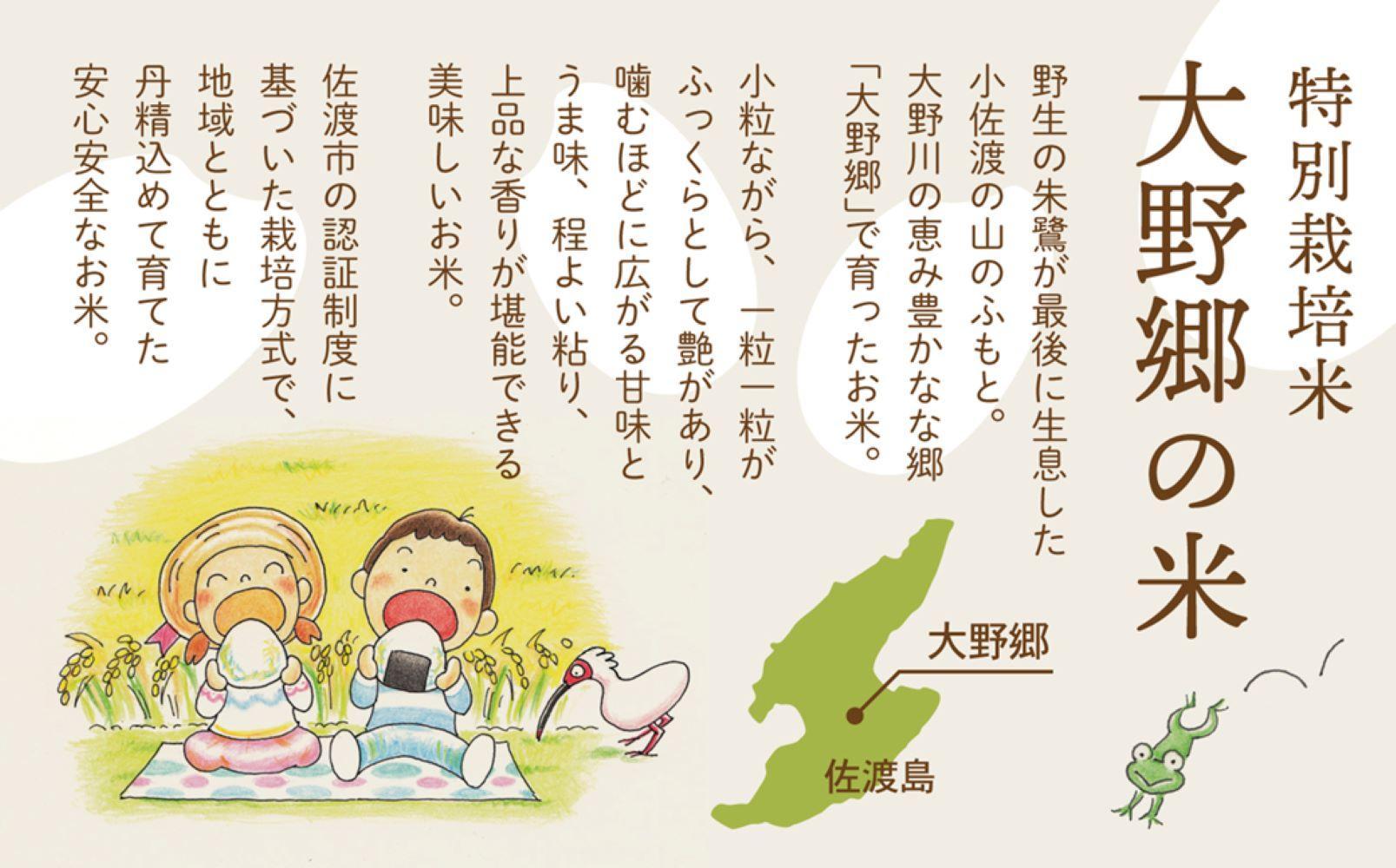 【令和６年産新米】佐渡島産 特別栽培米こしひかり「大野郷の米」精米2kg×12回 定期お届けコース