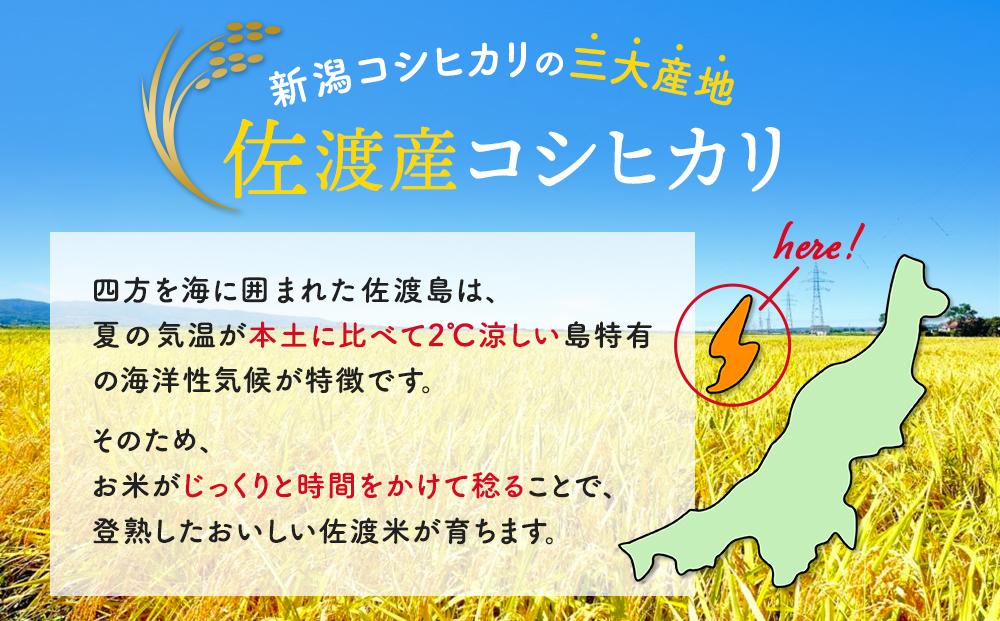 無洗米10kg 新潟県佐渡産コシヒカリ10kg(5kg×2)×3回「3カ月定期便」