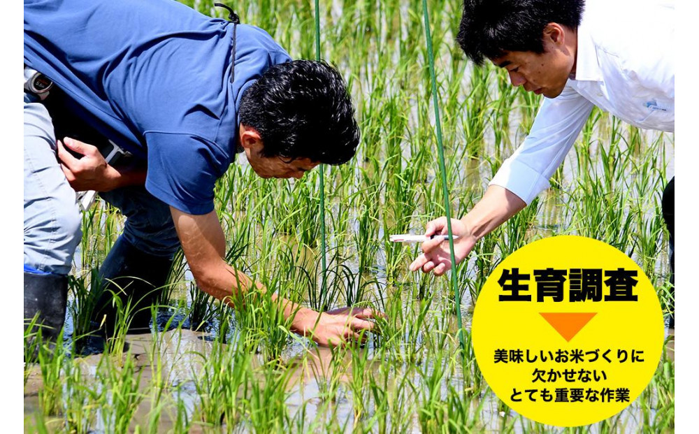 譁ー貎溽恁菴先ク。蟶ら肇 譁ー荵句勧 邊セ邀ウ 5kg縲蝉サ、蜥7蟷エ邀ウ縲