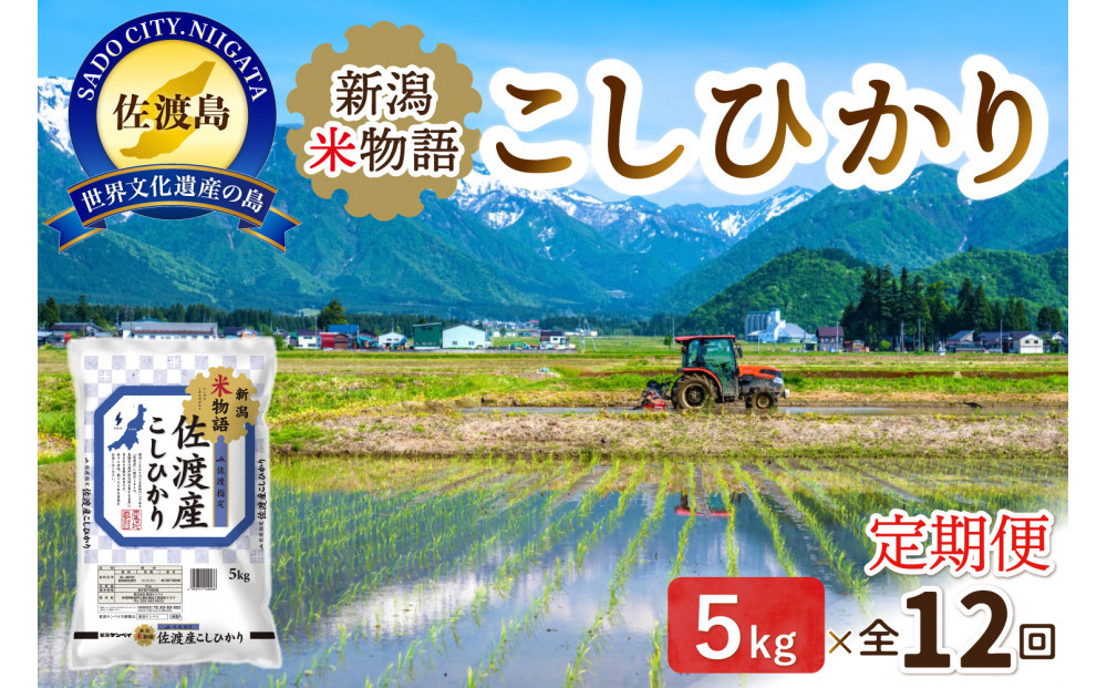 【12ヶ月連続お届け】新潟米物語佐渡産コシヒカリ（5kg）
