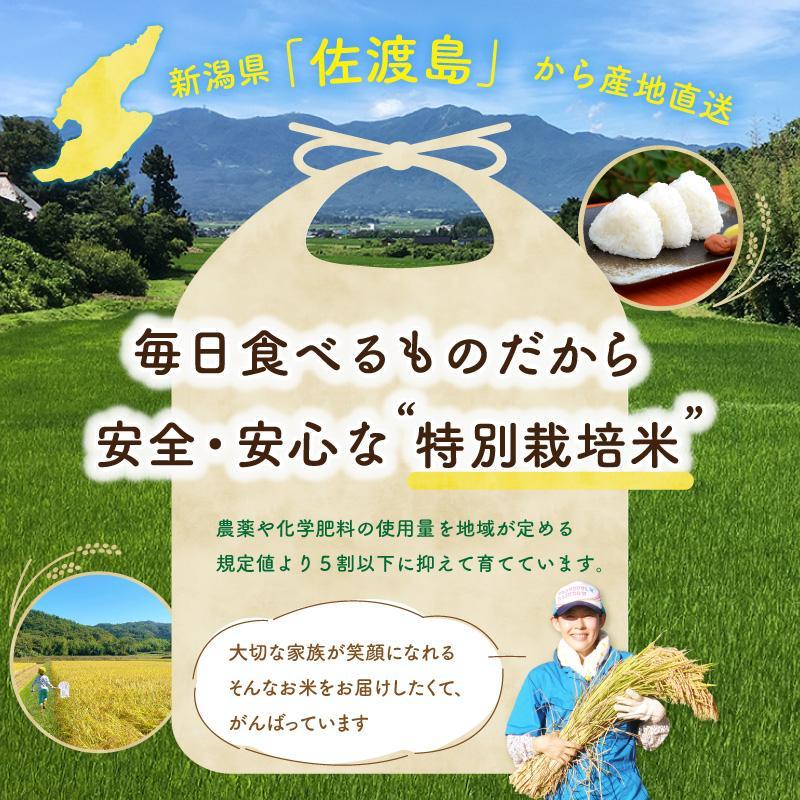 【新米・先行予約】佐渡島産 にじのきらめき 白米5Kg×1袋 特別栽培米 令和6年産