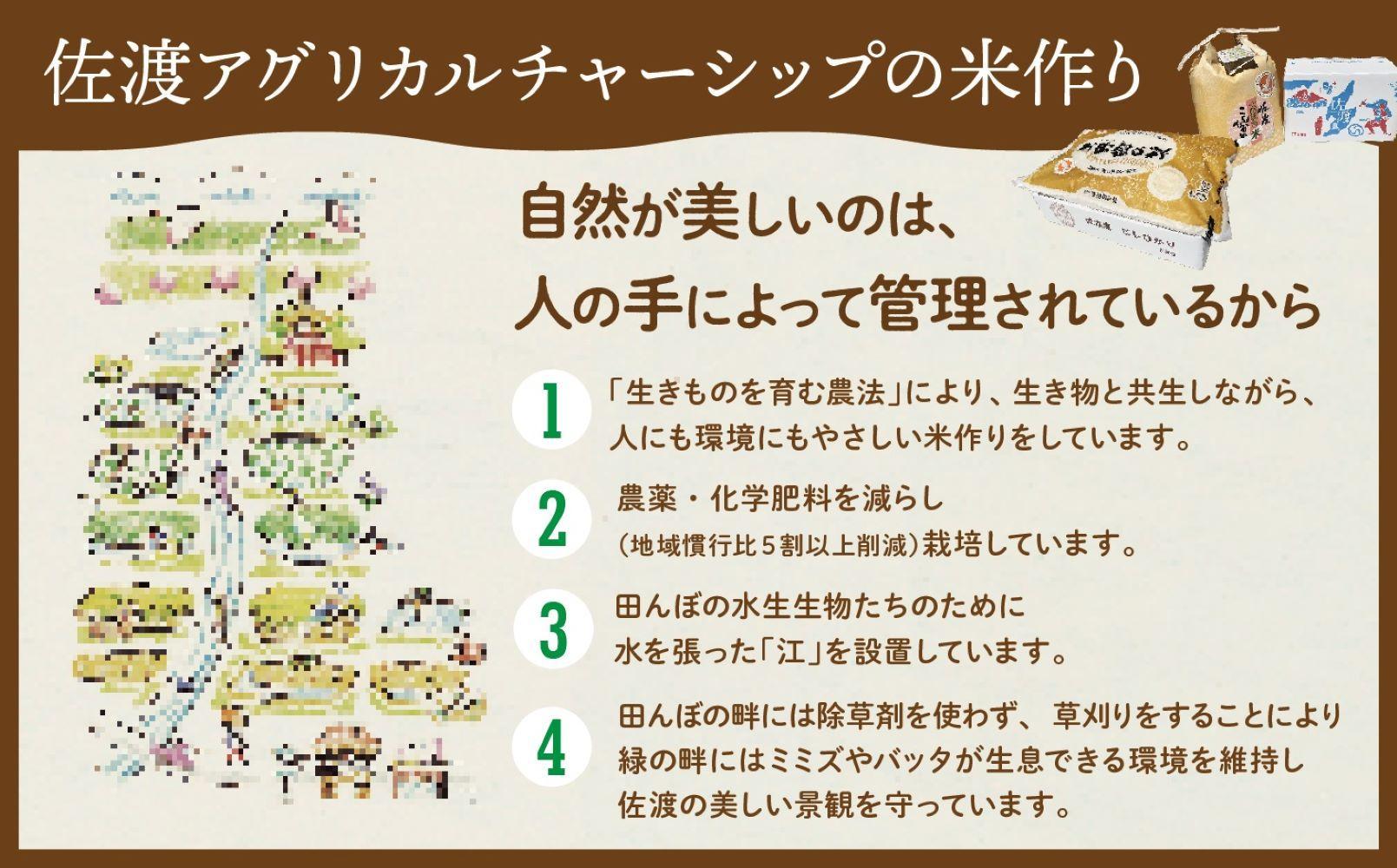 【令和６年産新米】佐渡島産 特別栽培米こしひかり「大野郷の米」精米5kg×4袋