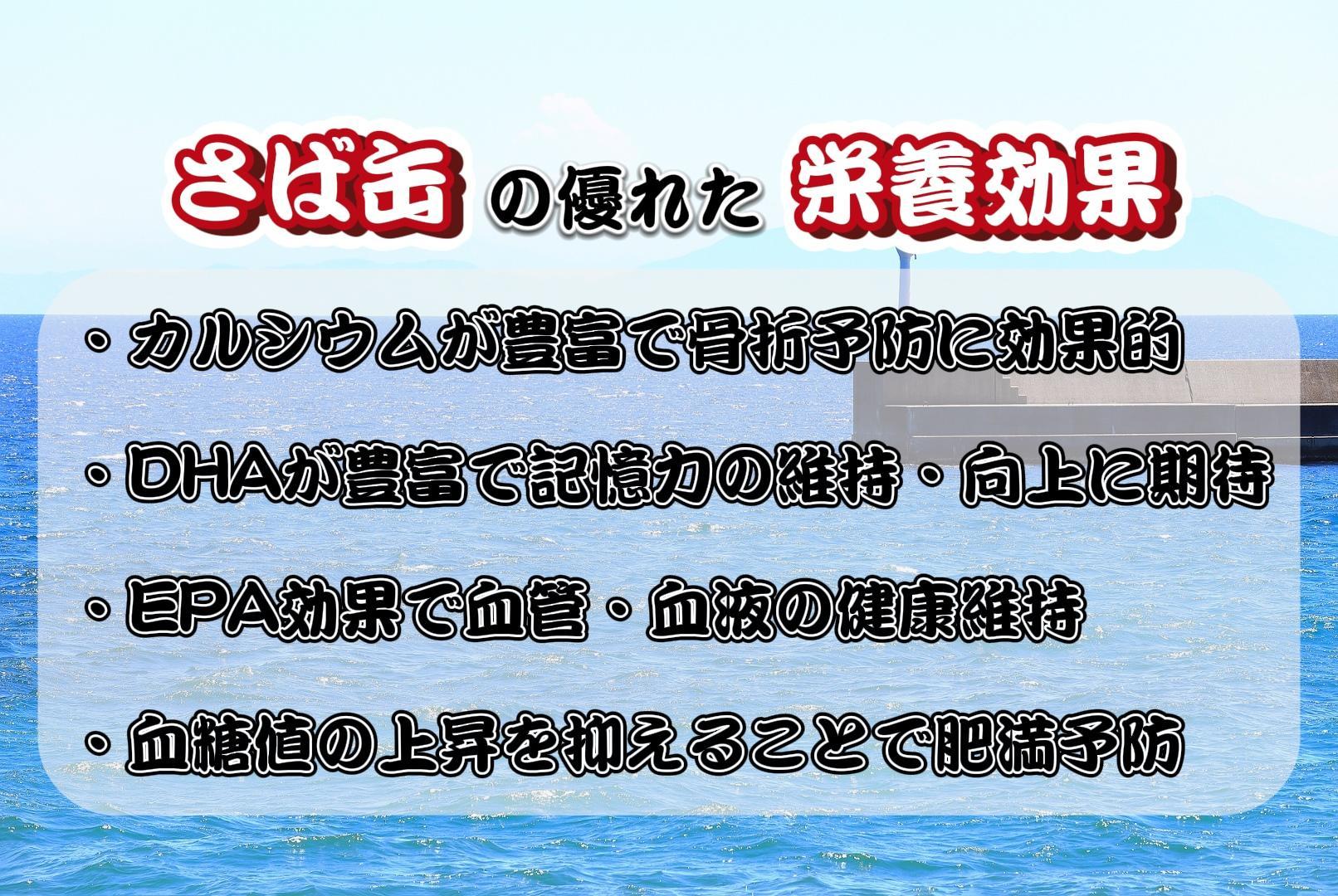 佐渡産 さば いわし 缶詰 水煮 味噌煮 6缶セット 常温 常温保存 国産 佐渡 鯖 サバ 鰯 イワシ 缶詰 さば缶 サバ缶 鯖缶 缶詰め かんづめ 保存食 非常食 長期保存 長期保管 備蓄 魚介 魚介類 冷凍 簡単調理 簡単料理 おかず