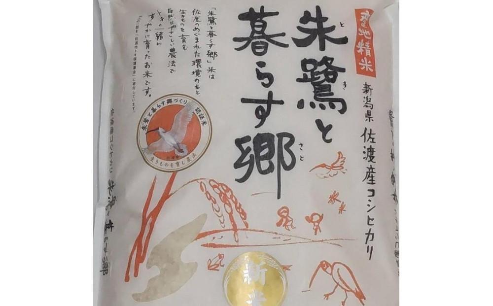 令和6年産 佐渡産コシヒカリ米「朱鷺と暮らす郷」5kg 佐渡・今井茂助商店おすすめ