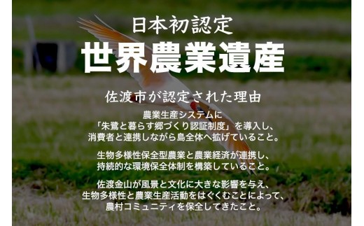 譁ー貎溽恁菴先ク。蟶ら肇 譁ー荵句勧 邊セ邀ウ 5kg縲蝉サ、蜥7蟷エ邀ウ縲