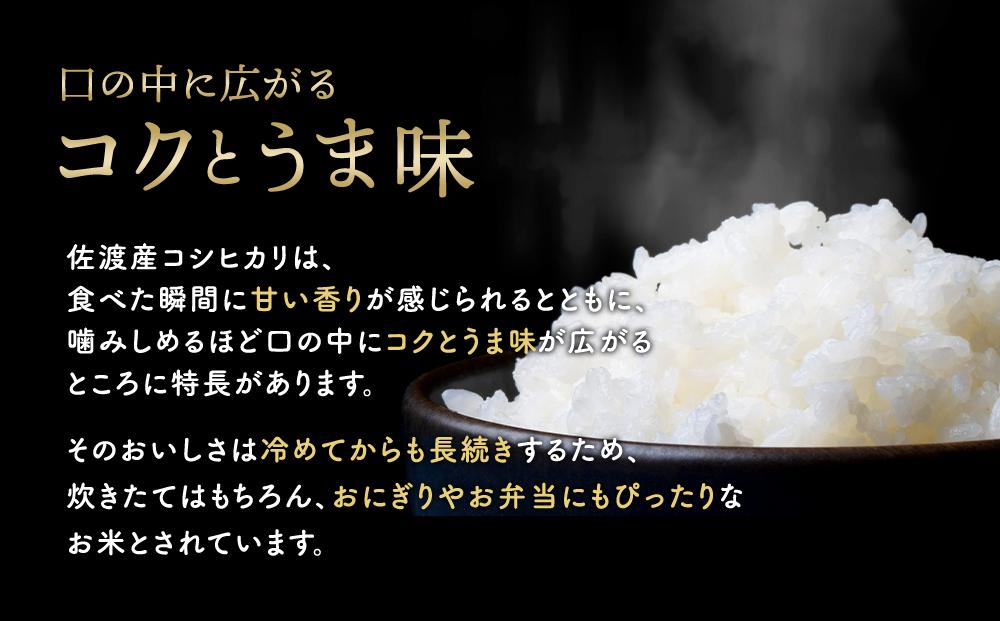 【令和6年度産新米】佐渡羽茂産コシヒカリ そのまんま真空パック 900g×12袋セット