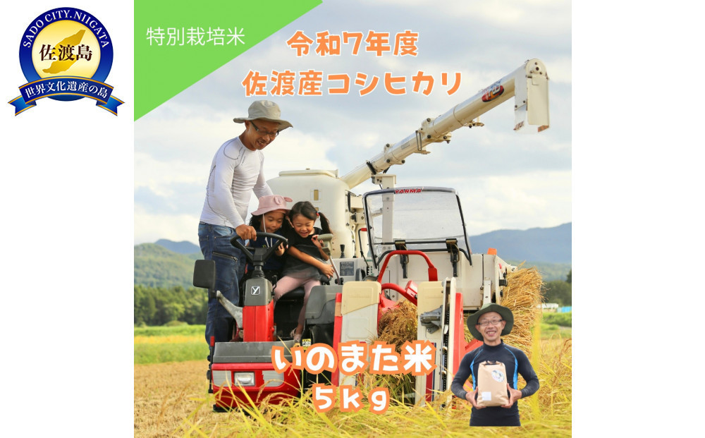 令和7年産コシヒカリ　精米（無洗米）５kg　農家直送　佐渡市いのまた米