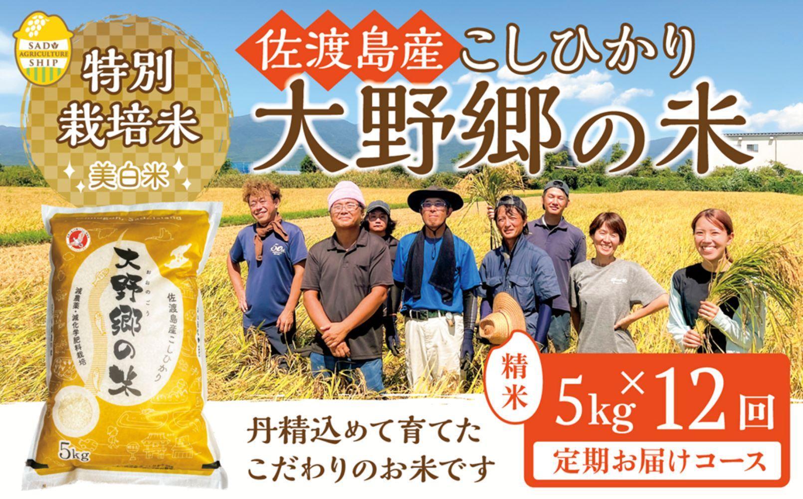 【令和６年産新米】佐渡島産 特別栽培米こしひかり「大野郷の米」精米5kg×12回 定期お届けコース