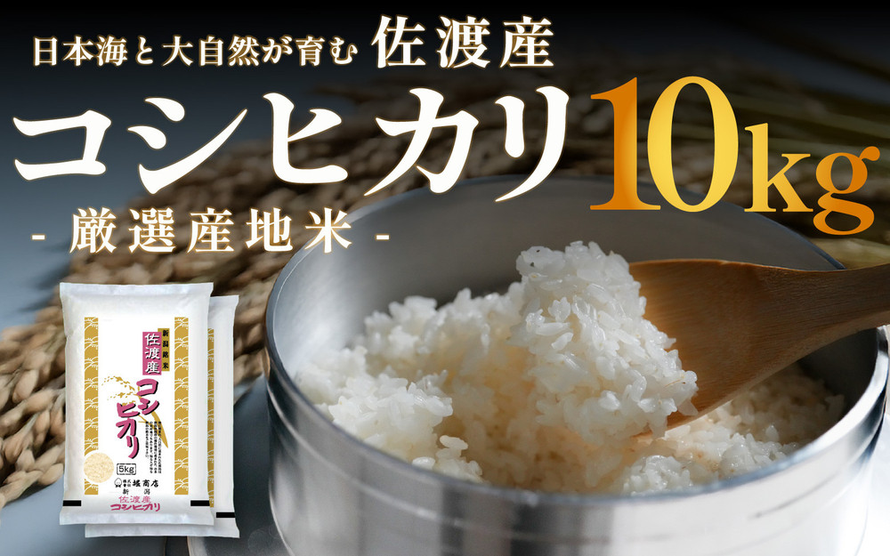 佐渡産コシヒカリ 10kg (5kg x 2) 令和7年産