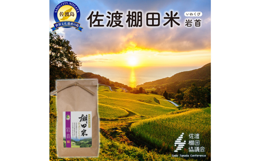 佐渡島産コシヒカリ 岩首昇竜棚田米 白米2Kg【令和7年産】