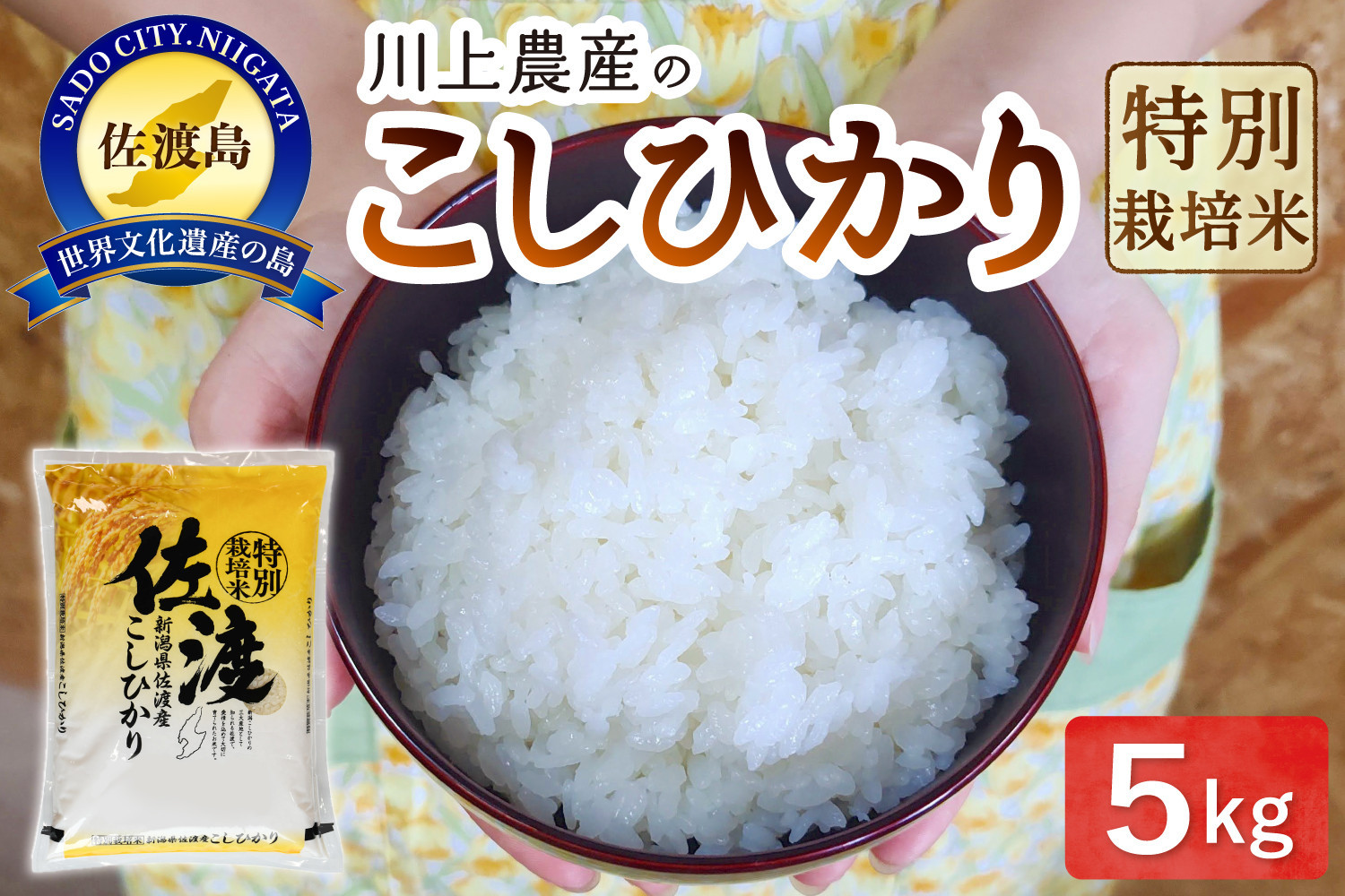 【レビューキャンペーン実施中！】令和7年産 佐渡 川上農産のコシヒカリ（5kg）