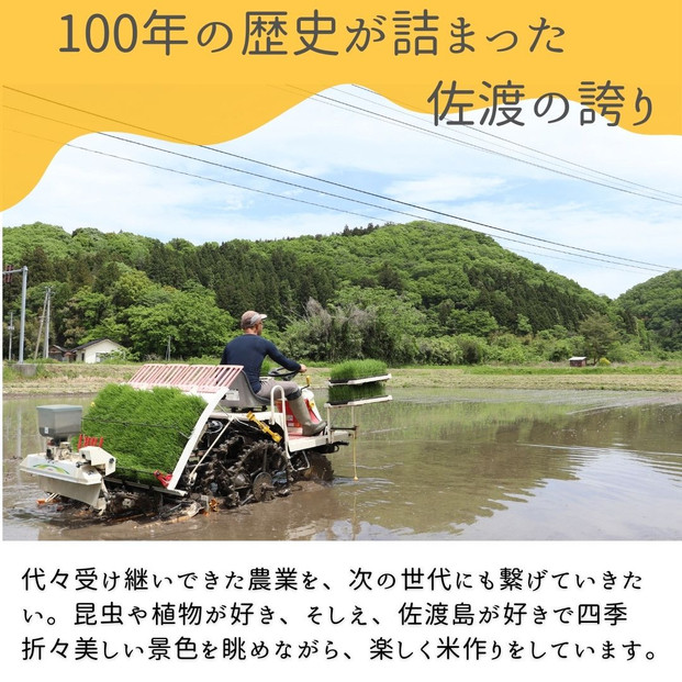 【新潟県佐渡】国仲平野産コシヒカリ＜数量限定・生産地域限定＞ 令和７年産 精米【無洗米】5kg 送料無料