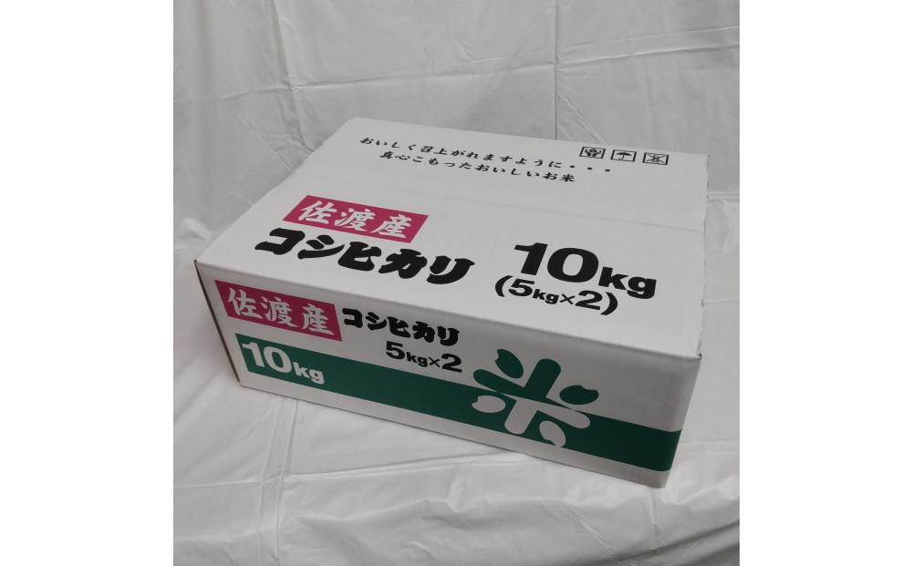 令和6年産 佐渡産コシヒカリ米「朱鷺と暮らす郷」10kg(5kg×2個) 佐渡・今井茂助商店おすすめ