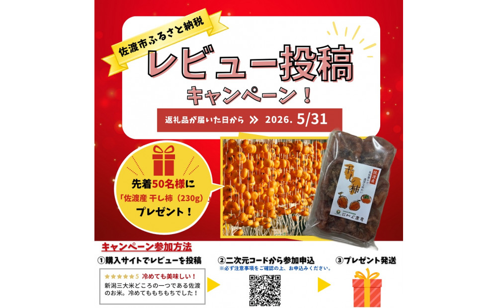 【レビューキャンペーン実施中！】令和7年産 佐渡 川上農産のコシヒカリ 定期便（5kg×全6回）