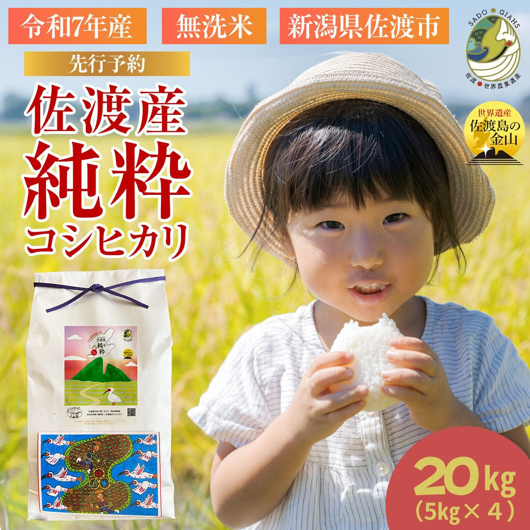 縲先眠貎溽恁菴先ク。縲台ス先ク。逕」縺ョ邏皮イ九さ繧キ繝偵き繝ェ20kgシ懈焚驥城剞螳夲シ 莉、蜥鯉シ怜ケエ逕」 邊セ邀ウ縲千┌豢礼アウ縲5kgテ4陲