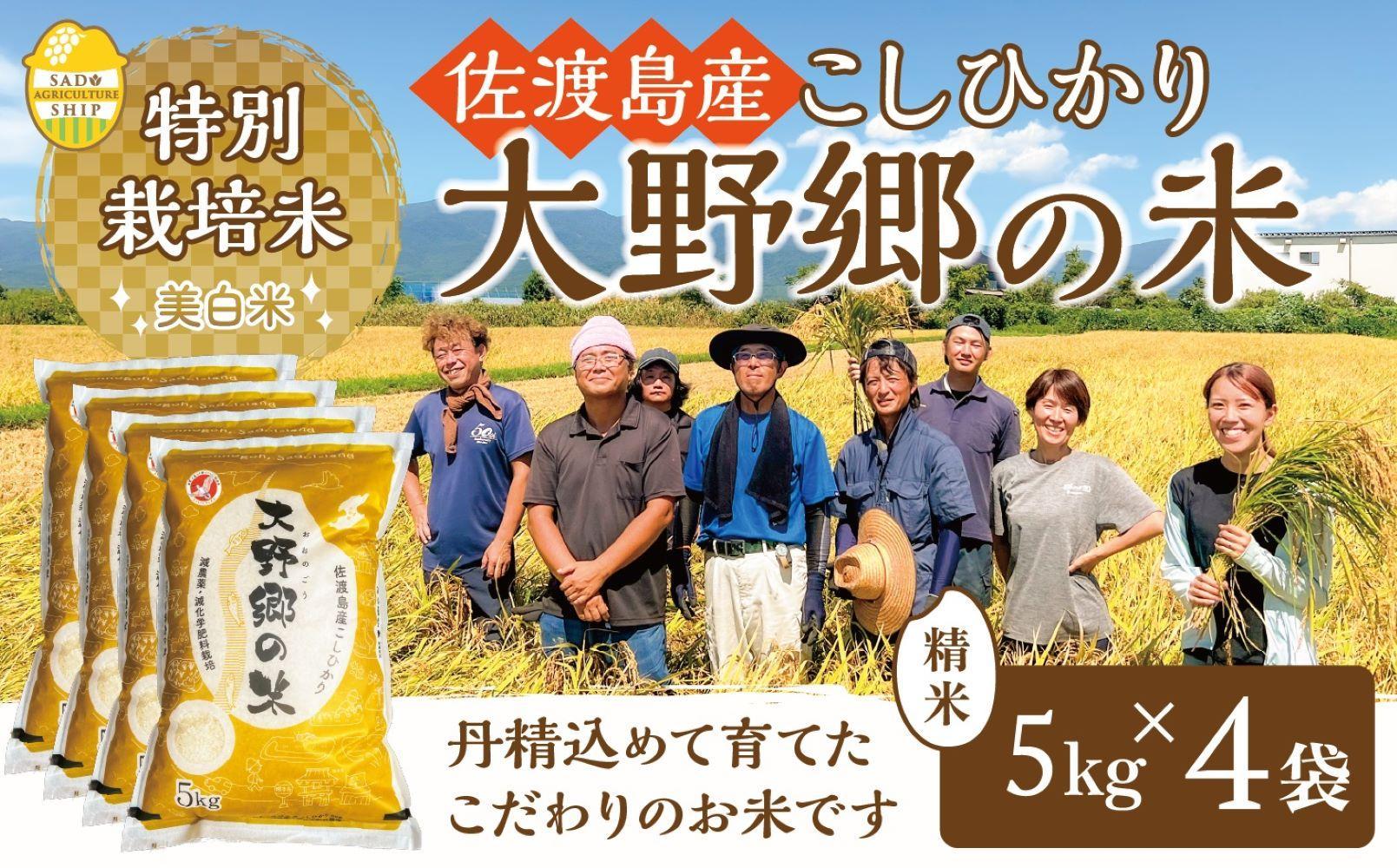 【令和６年産新米】佐渡島産 特別栽培米こしひかり「大野郷の米」精米5kg×4袋